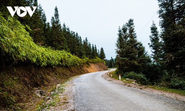 Stunning images of perilous passes in Ha Giang - ảnh 15